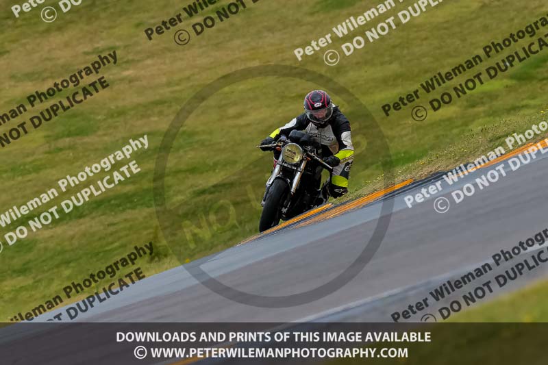 PJ Motorsport 2019;anglesey no limits trackday;anglesey photographs;anglesey trackday photographs;enduro digital images;event digital images;eventdigitalimages;no limits trackdays;peter wileman photography;racing digital images;trac mon;trackday digital images;trackday photos;ty croes